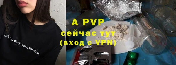 винт Новозыбков