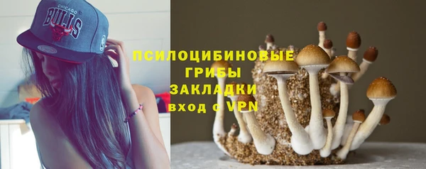 мдпв Бикин