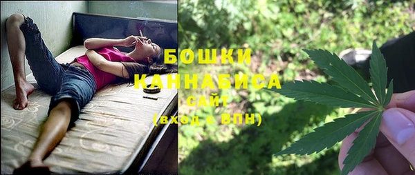винт Новозыбков