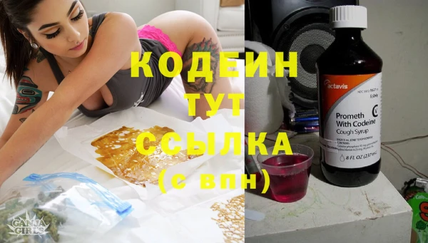 винт Новозыбков