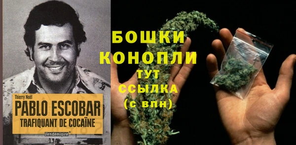 тгк Новокубанск