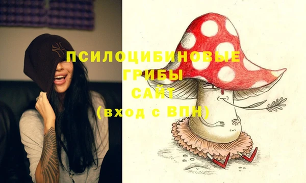 винт Новозыбков