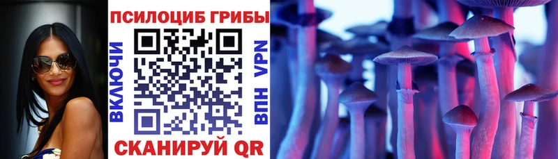 Псилоцибиновые грибы GOLDEN TEACHER  Кубинка 