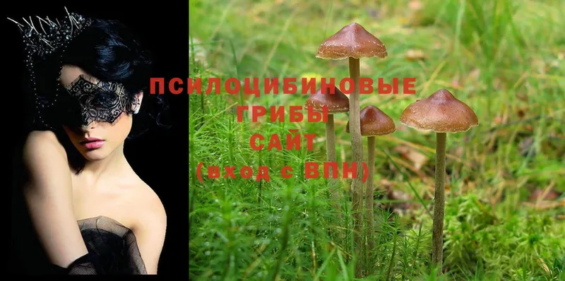 закладки  Кубинка  Галлюциногенные грибы Magic Shrooms 