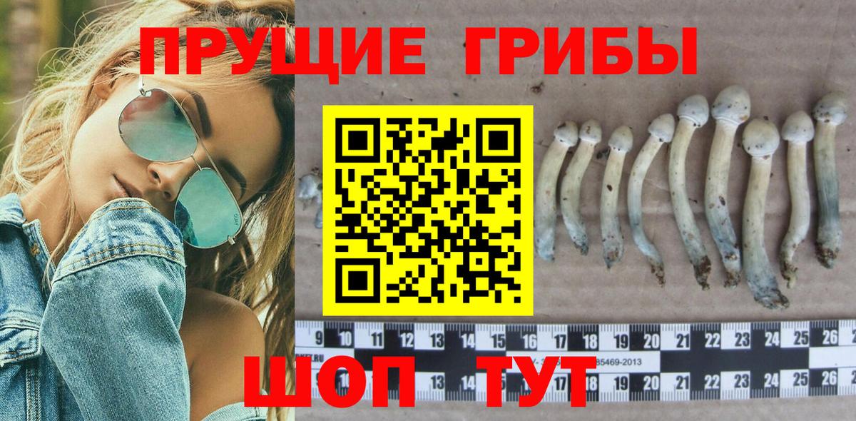 Псилоцибиновые грибы Psilocybe  Галлюциногенные грибы Cubensis  Вход с VPN  Кубинка 